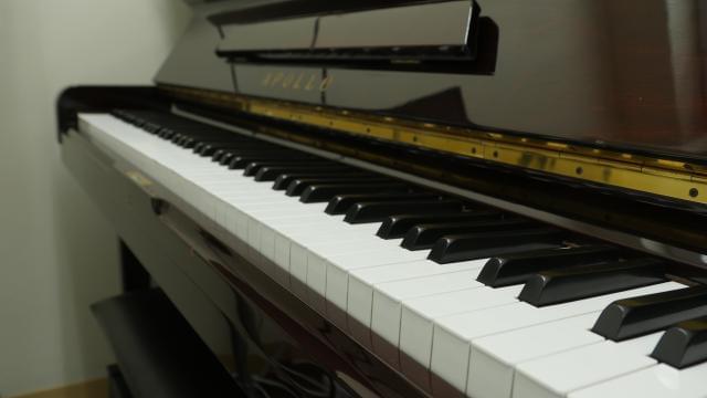 【大学生歓迎】シアーミュージックスクール金沢校のアルバイト、パート
