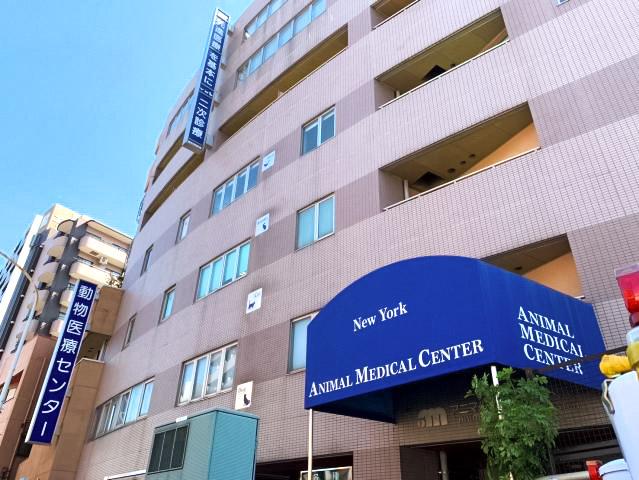 【交通費支給】アニマルメディカルセンターのパート