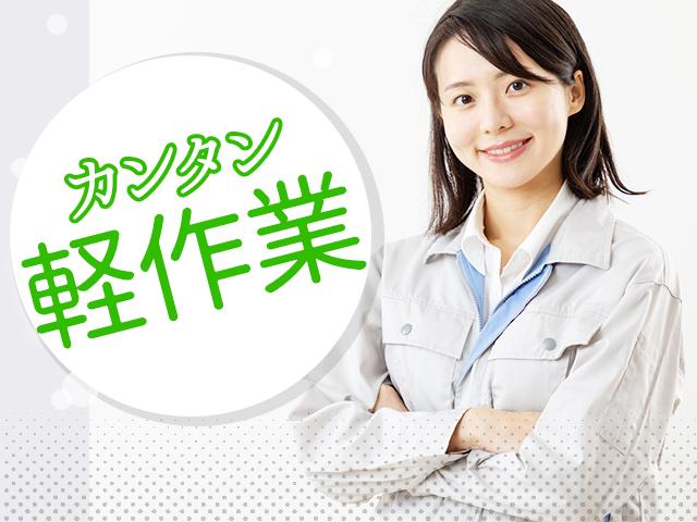 【大学生歓迎】株式会社綜合キャリアオプション（1314VJ061...