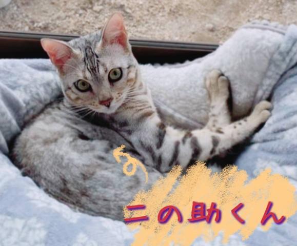 グループホームぱあとなあの契約社員