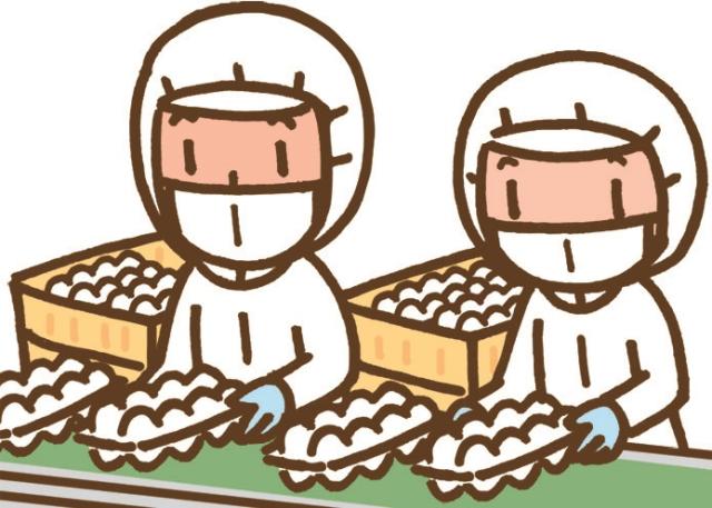 株式会社デール関西の派遣社員