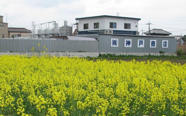 【交通費支給】株式会社神戸商店の正社員