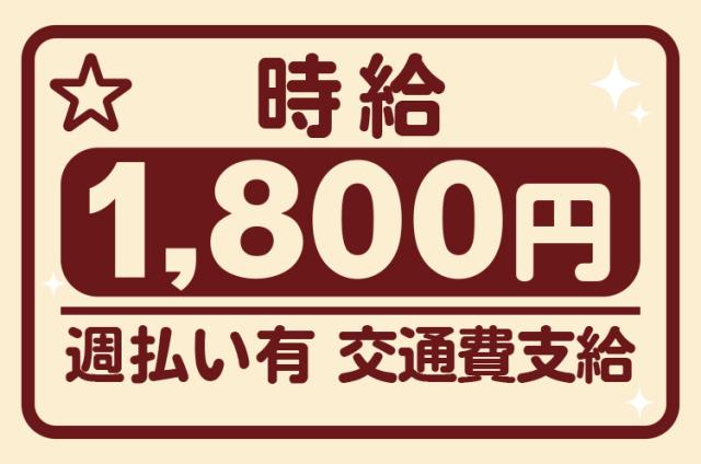 【経験者・有資格者歓迎】株式会社マクスジャパンの派遣社員