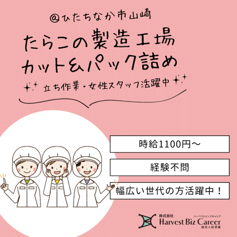 未経験の方も、安心して就業できます！