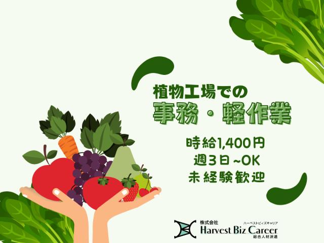株式会社Harvest Biz Career柏駅前営業所/hbc-ks659