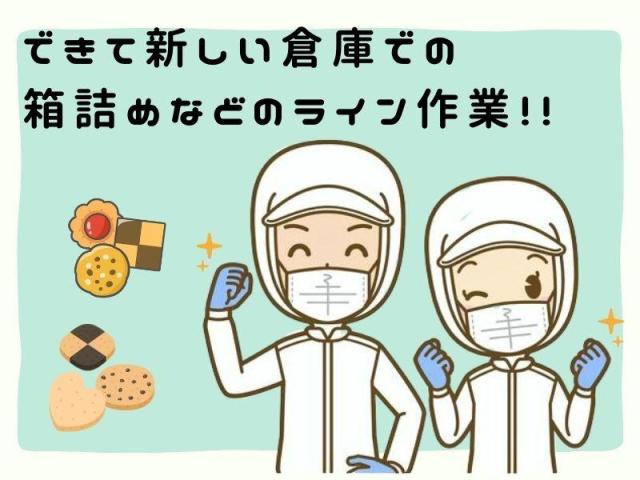 大人気お菓子の倉庫で簡単な箱詰めの軽作業箱詰め軽作業
