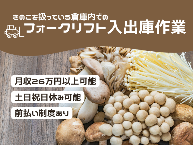 チルド倉庫でのフォークリフトオペレーターフォークリフト