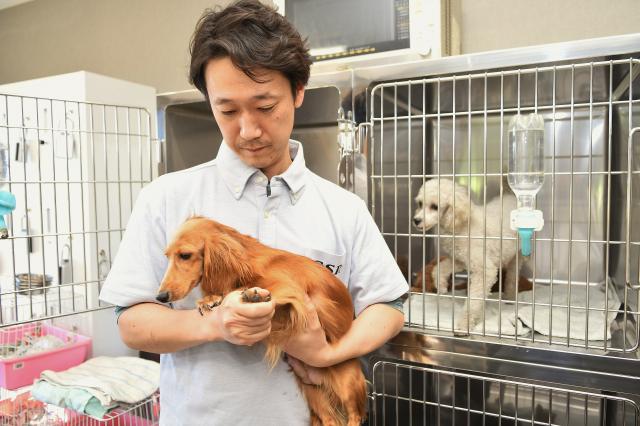 業務を頑張るあなたのことは正当に評価！
給与などでしっかりと還元します。