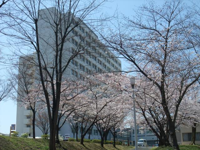 地方独立行政法人大阪府立病院機構 大阪はびきの医療センターのパート情報 イーアイデム 羽曳野市の医療事務 受付求人情報 Id A