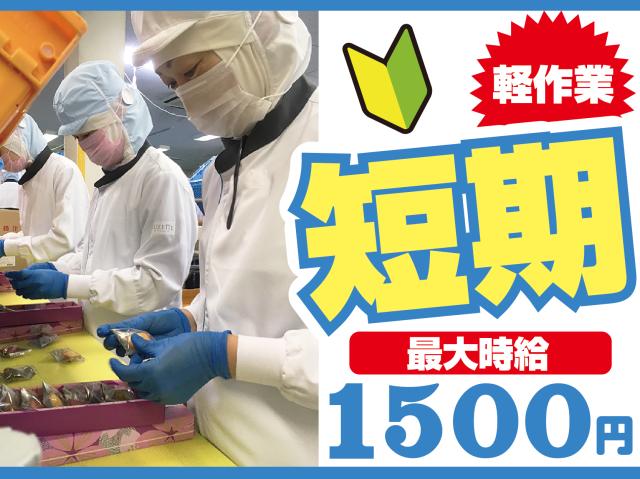 はじめての方でも安心してスタートできる♪