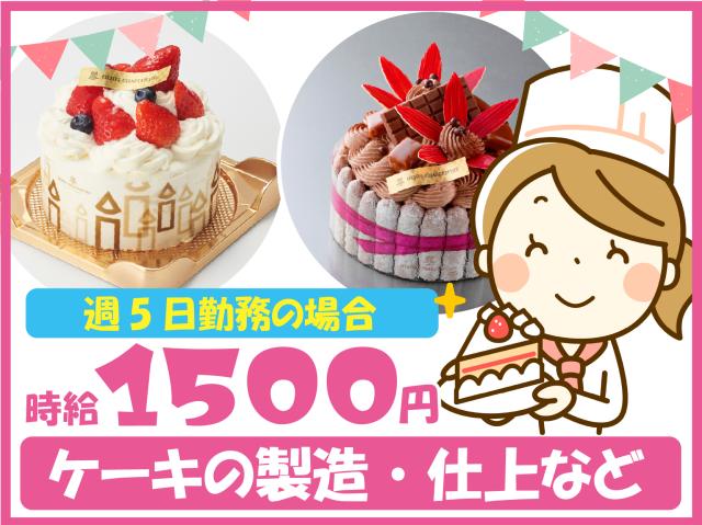 未経験・ブランク大歓迎!