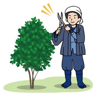 【江南市】残業なし！プライベートも充実！人気の職人さん募集　未経験から手に職つけて見ませんか♪造園スタッフ
（樹木の剪定・植栽、造園工事など）
※未経験の方大歓迎です！しっかり丁寧に教えます。