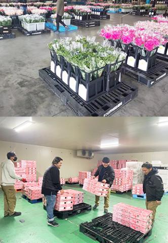 堅苦しい上下関係がなく働きやすい職場。勤続20年・30年・40年のスタッフも在籍しています！