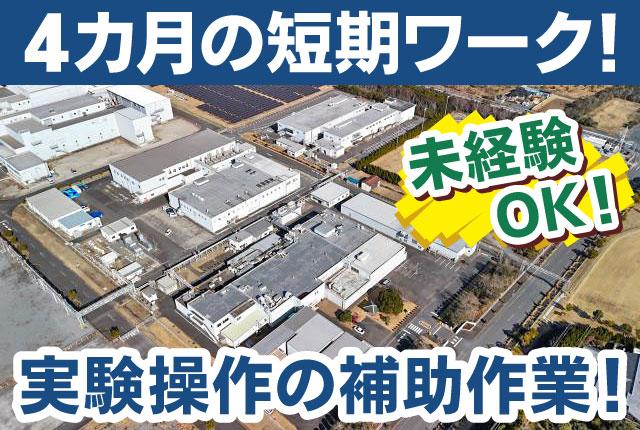 4か月間の短期ワークです／未経験者歓迎／実験操作の補助作業／週3日〜・1日4h〜OK◎実験操作の補助作業