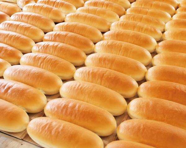 最新の設備機器を導入した空調完備で清潔感のある食品工場◎安定の環境で新たな挑戦をしませんか？