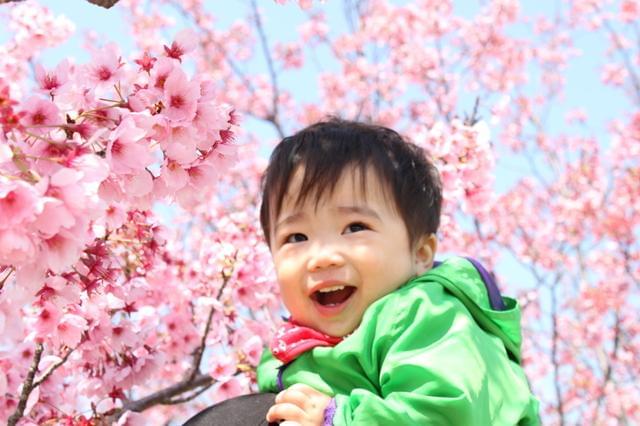 ★☆保育士の派遣ならワークプロジェクト!!
新しい職場でお仕事始めませんか☆★