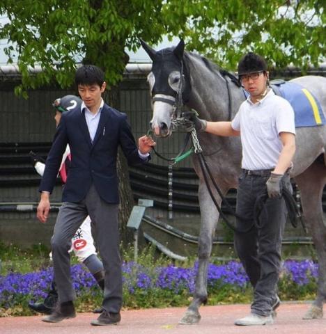 20〜30代の男女厩務員が活躍しています!また、有名競走馬の子どもも飼育中♪これからが楽しみですよ。