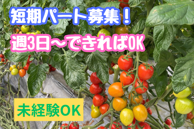 小・中・高のお子様がいる主婦が多数活躍中♪勤務スタート日はお気軽にご相談ください！