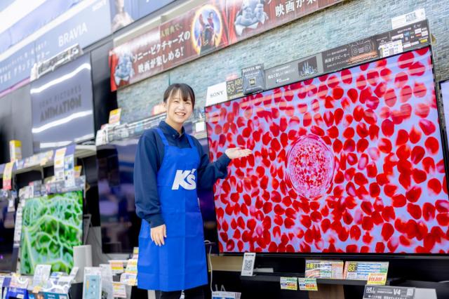 ケーズデンキ　田原店