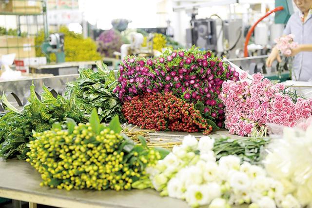 株式会社Japan Flower Trading（旧社名：株式会社西日本フラワー）