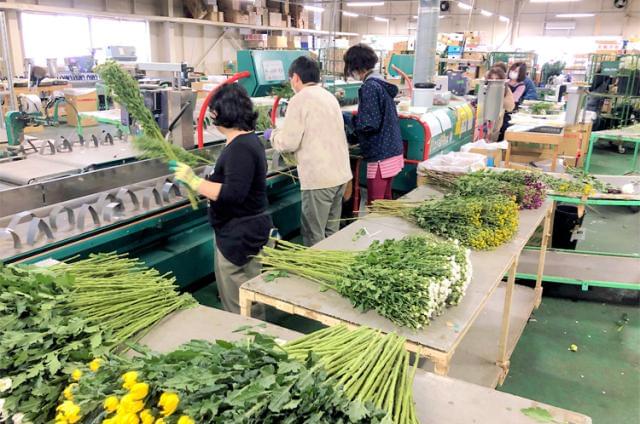 「お花が好き」「短期の仕事を探している」
そんな方にピッタリのお仕事です◎
