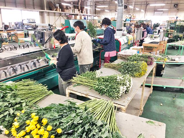 ＼夏の短期募集！／花束の加工や仕分けのお仕事！未経験歓迎！日数の相談OK！生花卸市場で働きませんか！花束の加工、仕分け、他