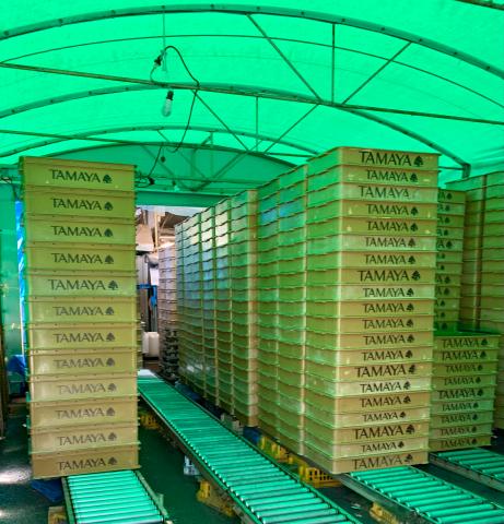 お客様先から戻ったパン箱を洗浄作業。半分以上は機械が洗うので、初めてでも安心です。