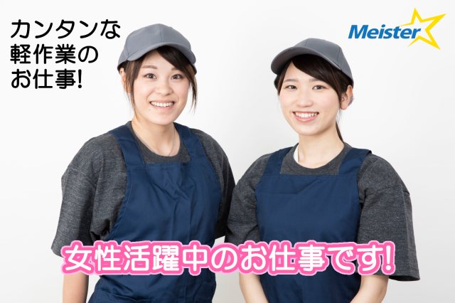 株式会社マイ スターの契約社員 派遣社員情報 イーアイデム 河内町の梱包 仕分け ピッキング求人情報 Id