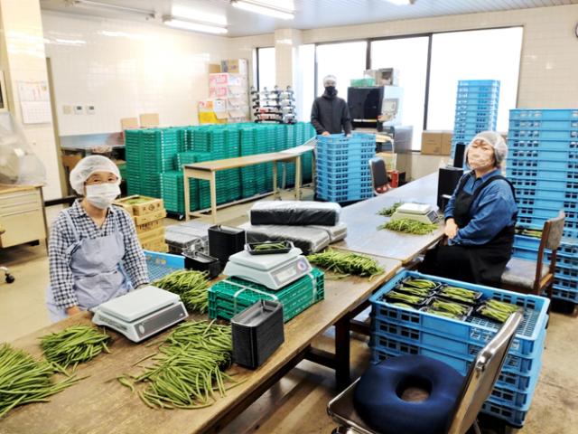 生鮮野菜の袋詰め等の軽作業／お昼頃まで！男女・年齢・経験問いません♪12月末までの短期ワーク！生鮮野菜の袋詰め等の軽作業（座り中心）