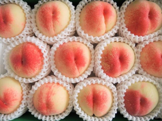 毎年人気の桃の入出荷作業！今年も募集開始！！20名の募集なので早いもの勝ち