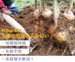 株式会社ウインドー
