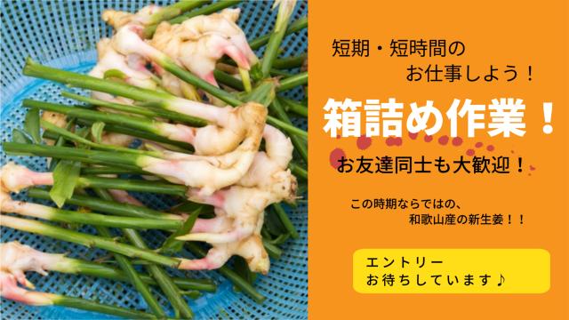 60歳以上の方大歓迎!未経験の方も毎年活躍中!!