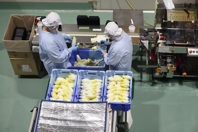 半導体・食品関連の製造や軽作業のお仕事を探している方は必見!
幅広い案件をご用意しています!