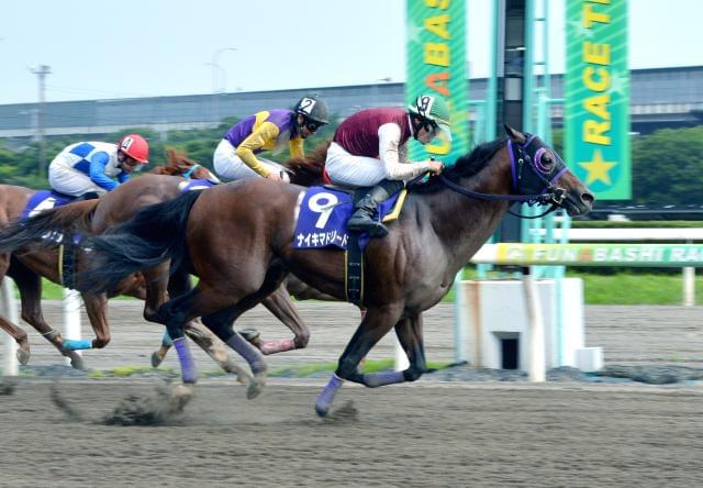 ＜札幌道営センター＞土曜、日曜勤務出来る方必見！事務・サポートスタッフ募集！！競馬に関わる事務サポートスタッフ
