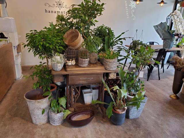 Hanamatsuriのアルバイト パート情報 イーアイデム 仙台市若林区のその他販売 サービス求人情報 Id A