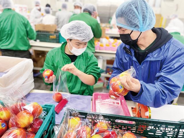 神戸市指定事業所での【障がい者支援員】▼職務経験不問▼育休あり▼職場見学OK▼資格取得支援あり▼神戸市指定障害福祉サービス事業所での障がい者支援員