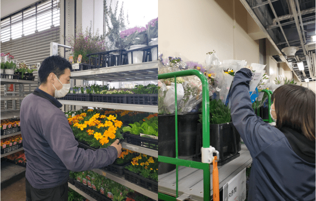 毎回大人気！ご応募お早めに！短期（5月前半）／母の日ギフト関連／面接ナシ・書類選考のみ♪5月前半・短期のお花作業スタッフ