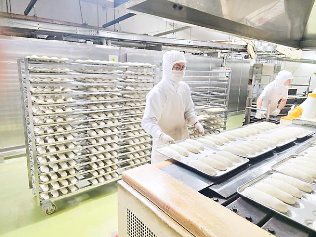 ゆくゆくは「パン製造技能士1級」にチャレンジできる環境です。