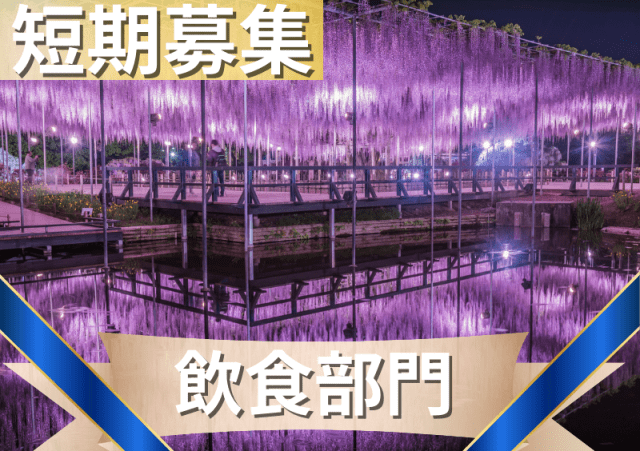 総勢約200名の大量募集！！