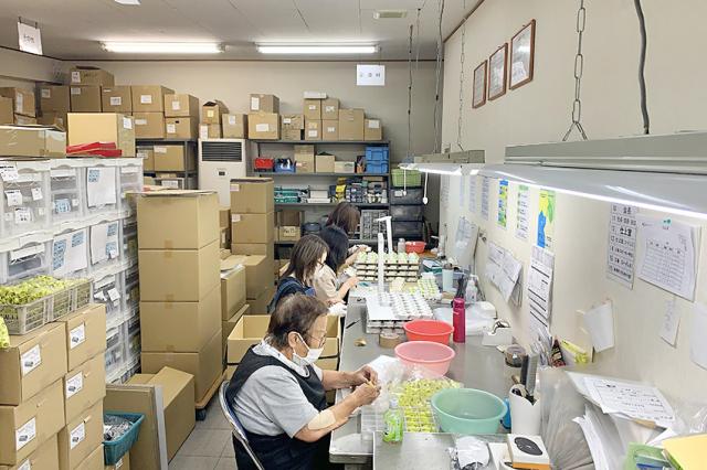 戸田市笹目南町でのお仕事です。車通勤OK！