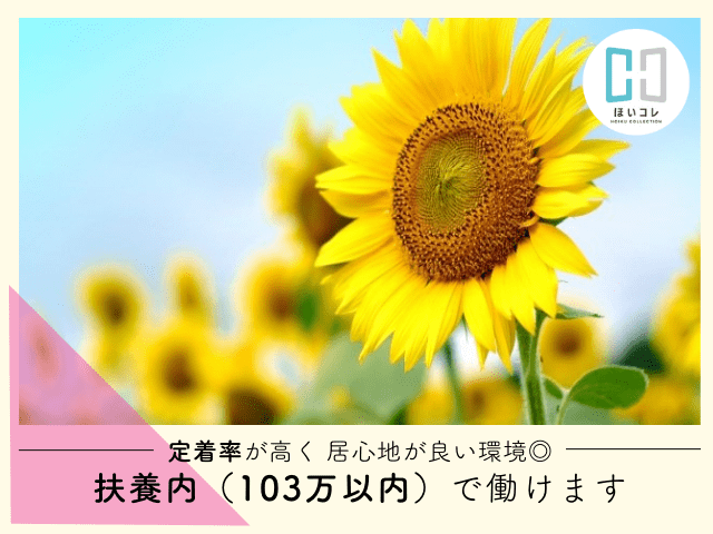 ★来社不要!アプリ不要!
『Web面談』でかんたん面接実施中★
お持ちのスマートフォン、パソコンから
気軽に面談ができますので、
スピード感をもって就職活動を行っていただけます。