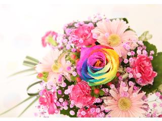 Karendo イオンモール津南店のアルバイト パート情報 津市の量販店 大型sc求人情報 Id イーアイデム