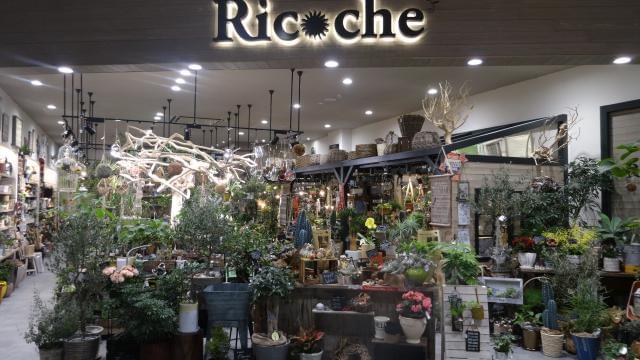 大阪 園芸 求人に関する情報 お仕事探しならイーアイデム