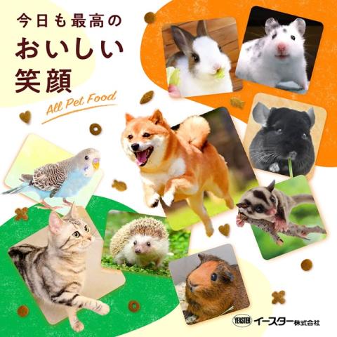 20代・30代・40代活躍中!仲間に相談しやすく、安心して成長できる職場です。