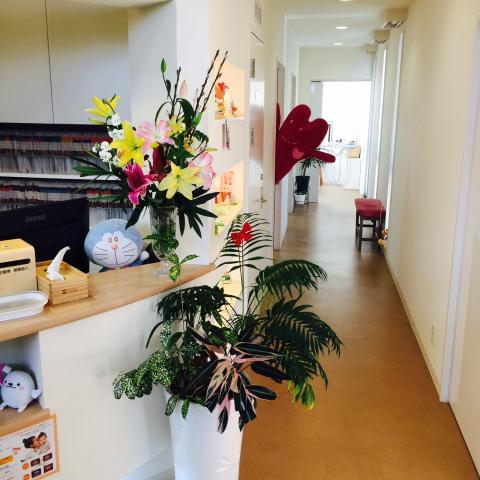 光が差し込む明るい雰囲気