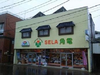 SELA　角電