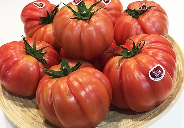 少数精鋭の会社だから打ち解けやすい!優しい先輩がイチからサポートします。