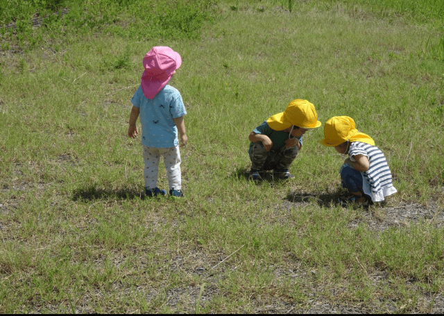 幅広い年代の方に活躍していただける職場です。給食費補助や社会保険完備など待遇面も充実！
