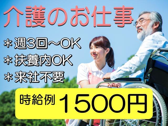 介護のお仕事探しはひまわり♪