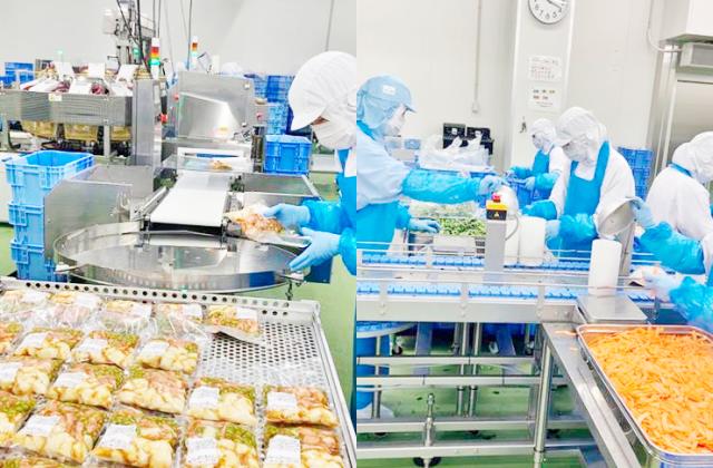 【食品製造スタッフ】★オープニングメンバー追加募集★未経験OK！食品製造スタッフ